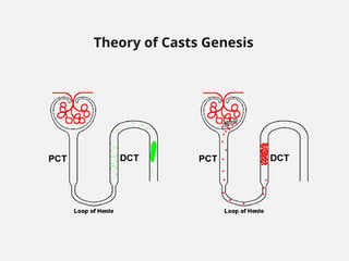 Theory of Casts Genesis
 