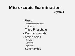 - Urate
Ammonium biurate
Uric acid
- Triple Phosphate
- Calcium Oxalate
- Amino Acids
Cystine
Leucine
Tyrosine
- Sulfonamide
Microscopic Examination
Crystals
 