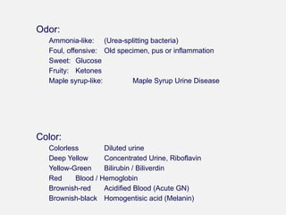 Odor:
− Ammonia-like: (Urea-splitting bacteria)
− Foul, offensive: Old specimen, pus or inflammation
− Sweet: Glucose
− Fruity: Ketones
− Maple syrup-like: Maple Syrup Urine Disease
Color:
− Colorless Diluted urine
− Deep Yellow Concentrated Urine, Riboflavin
− Yellow-Green Bilirubin / Biliverdin
− Red Blood / Hemoglobin
− Brownish-red Acidified Blood (Acute GN)
− Brownish-black Homogentisic acid (Melanin)
 