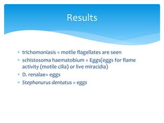  trichomoniasis = motlie flagellates are seen
 schistosoma haematobium = Eggs(eggs for flame
activity (motile cilia) or live miracidia)
 D. renalae= eggs
 Stephanurus dentatus = eggs
Results
 