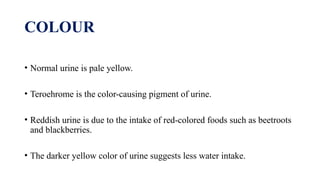 URINE CHEMISTRY AND ITS CONSTITUENTS ,Biochemistry PPT.pptx