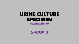 URINE CULTURE
SPECIMEN
PRACTICAL SESSION
GROUP 3
 