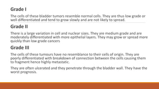 Urine Cytology | PPTX