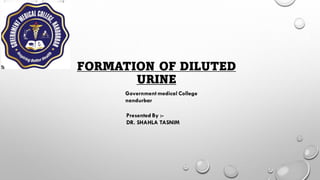 FORMATION OF DILUTED
URINE
Government medical College
nandurbar
Presented By :-
DR. SHAHLA TASNIM
 