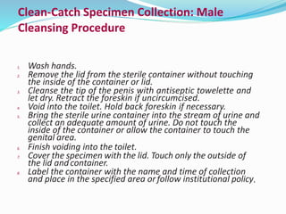 Clean-Catch Specimen Collection: Male
Cleansing Procedure
1. Wash hands.
2. Remove the lid from the sterile container without touching
the inside of the container or lid.
3. Cleanse the tip of the penis with antiseptic towelette and
let dry. Retract the foreskin if uncircumcised.
4. Void into the toilet. Hold back foreskin if necessary.
5. Bring the sterile urine container into the stream of urine and
collect an adequate amount of urine. Do not touch the
inside of the container or allow the container to touch the
genital area.
6. Finish voiding into the toilet.
7. Cover the specimen with the lid. Touch only the outside of
the lid andcontainer.
8. Label the container with the name and time of collection
and place in the specified area or follow institutional policy.
 