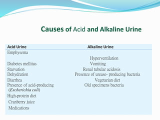 Table5–1
Causes of Acid and Alkaline Urine
Acid Urine Alkaline Urine
Emphysema
Hyperventilation
Diabetes mellitus Vomiting
Starvation Renal tubular acidosis
Dehydration Presence of urease- producing bacteria
Diarrhea Vegetarian diet
Presence of acid-producing Old specimens bacteria
(Escherichia coli)
High-protein diet
Cranberry juice
Medications
 