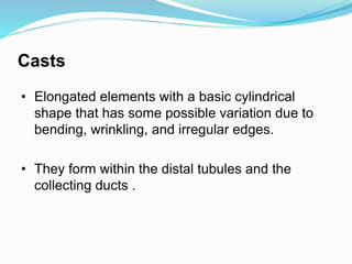 Casts
• Elongated elements with a basic cylindrical
shape that has some possible variation due to
bending, wrinkling, and irregular edges.
• They form within the distal tubules and the
collecting ducts .
 
