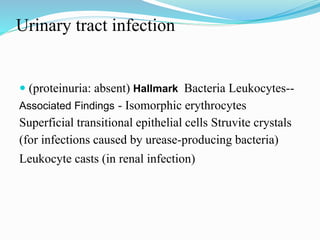 Urinary tract infection
 (proteinuria: absent) Hallmark Bacteria Leukocytes--
Associated Findings - Isomorphic erythrocytes
Superficial transitional epithelial cells Struvite crystals
(for infections caused by urease-producing bacteria)
Leukocyte casts (in renal infection)
 