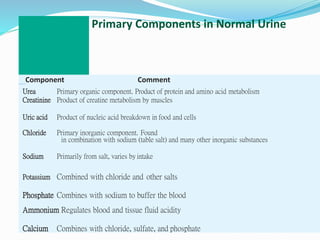 Primary Components in Normal Urine
Component Comment
Urea Primary organic component. Product of protein and amino acid metabolism
Creatinine Product of creatine metabolism by muscles
Uric acid Product of nucleic acid breakdown in food and cells
Chloride Primary inorganic component. Found
in combination with sodium (table salt) and many other inorganic substances
Sodium Primarily from salt, varies by intake
Potassium Combined with chloride and other salts
Phosphate Combines with sodium to buffer the blood
Ammonium Regulates blood and tissue fluid acidity
Calcium Combines with chloride, sulfate, and phosphate
 