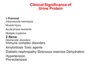 Clinical Significance of
Urine Protein
1-Prerenal
Intravascular hemolysis
Muscle injury
Acute phase reactants
Multiple myeloma
2-Renal
Glomerular disorders
Immune complex disorders
Amyloidosis Toxic agents
Diabetic nephropathy Strenuous exercise Dehydration
Hypertension
Pre-eclampsia
 