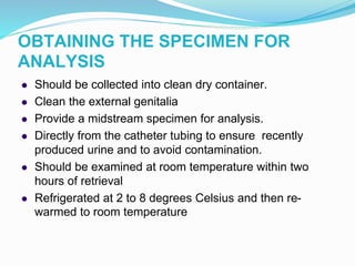 OBTAINING THE SPECIMEN FOR
ANALYSIS
 Should be collected into clean dry container.
 Clean the external genitalia
 Provide a midstream specimen for analysis.
 Directly from the catheter tubing to ensure recently
produced urine and to avoid contamination.
 Should be examined at room temperature within two
hours of retrieval
 Refrigerated at 2 to 8 degrees Celsius and then re-
warmed to room temperature
 