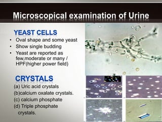 Microscopical examination of Urine
• Oval shape and some yeast
• Show single budding
• Yeast are reported as
few,moderate or many /
HPF(higher power field)
(a) Uric acid crystals
(b)calcium oxalate crystals.
(c) calcium phosphate
(d) Triple phosphate
crystals.
 