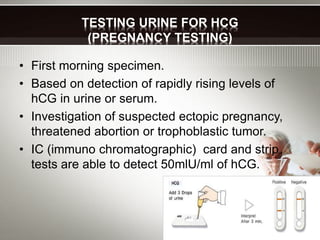 TESTING URINE FOR HCG
(PREGNANCY TESTING)
• First morning specimen.
• Based on detection of rapidly rising levels of
hCG in urine or serum.
• Investigation of suspected ectopic pregnancy,
threatened abortion or trophoblastic tumor.
• IC (immuno chromatographic) card and strip
tests are able to detect 50mlU/ml of hCG.
 