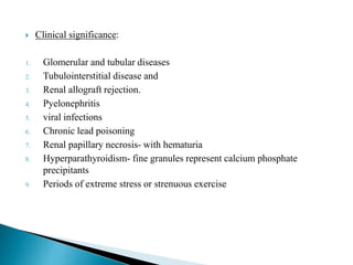  Clinical significance:
1. Glomerular and tubular diseases
2. Tubulointerstitial disease and
3. Renal allograft rejection.
4. Pyelonephritis
5. viral infections
6. Chronic lead poisoning
7. Renal papillary necrosis- with hematuria
8. Hyperparathyroidism- fine granules represent calcium phosphate
precipitants
9. Periods of extreme stress or strenuous exercise
 