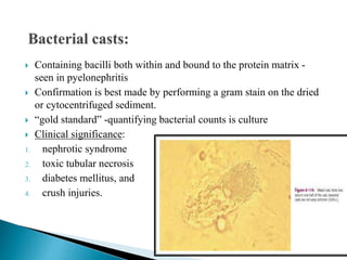  Containing bacilli both within and bound to the protein matrix -
seen in pyelonephritis
 Confirmation is best made by performing a gram stain on the dried
or cytocentrifuged sediment.
 “gold standard” -quantifying bacterial counts is culture
 Clinical significance:
1. nephrotic syndrome
2. toxic tubular necrosis
3. diabetes mellitus, and
4. crush injuries.
 