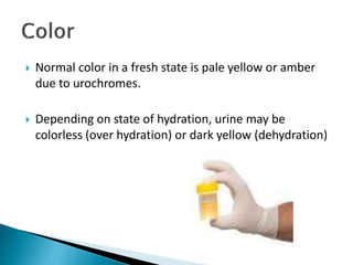  Normal color in a fresh state is pale yellow or amber
due to urochromes.
 Depending on state of hydration, urine may be
colorless (over hydration) or dark yellow (dehydration)
 