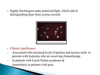  Highly birefringent under polarized light, which aids in
distinguishing them from cystine crystals
 Clinical significance:
1. Associated with increased levels of purines and nucleic acids in
patients with leukemia who are receiving chemotherapy
2. In patients with Lesch-Nyhan syndrome &
3. (sometimes) in patients with gout.
 
