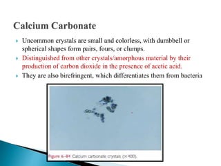  Uncommon crystals are small and colorless, with dumbbell or
spherical shapes form pairs, fours, or clumps.
 Distinguished from other crystals/amorphous material by their
production of carbon dioxide in the presence of acetic acid.
 They are also birefringent, which differentiates them from bacteria
 