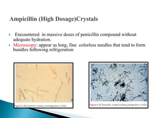  Encountered in massive doses of penicillin compound without
adequate hydration.
 Microscopy: appear as long, fine colorless needles that tend to form
bundles following refrigeration
 