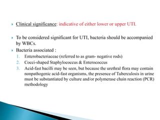  Clinical significance: indicative of either lower or upper UTI.
 To be considered significant for UTI, bacteria should be accompanied
by WBCs.
 Bacteria associated :
1. Enterobacteriaceae (referred to as gram- negative rods)
2. Cocci-shaped Staphylococcus & Enterococcus
3. Acid-fast bacilli may be seen, but because the urethral flora may contain
nonpathogenic acid-fast organisms, the presence of Tuberculosis in urine
must be substantiated by culture and/or polymerase chain reaction (PCR)
methodology
 