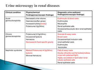 Clinical condition Physiochemical
Findings(macroscopic findings)
Diagnostic urine sediment
findings(microscopic findings)
Acute
glomeurlonephritis
Decreased urine volume
Haematuria(often gross)
Increased turbitiy(smoky)
Proteinuria(<2g/24hrs)
Erythrocytic & blood casts
Erythrocytes
Neutrophils
Renal epithelial cells
Occasional leucocytic &/or renal epithelial
casts
Chronic
glomerulonephritis
Proteinuria(>2-3g/24hrs)
Occasional lipiduria
Hematuria
Decreased & fixed specific gravity
Granular & waxy casts
Broad casts
Occasional lipid inclusion cells
renal epithelial casts
Erythrocytes
leucocytes
Nephrotic syndrome Marked Proteinuria(>4.5g/24hrs)
lipiduria
Minimal Hematuria
Fatty & waxy casts
Doubly refractile oval fat bodies(maltese
cross with polarised light)
Highly vacuolated or lipid laden renal
tubular epithelial cells
Renal epithelial casts
 