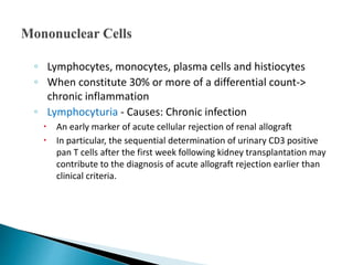 ◦ Lymphocytes, monocytes, plasma cells and histiocytes
◦ When constitute 30% or more of a differential count->
chronic inflammation
◦ Lymphocyturia - Causes: Chronic infection
 An early marker of acute cellular rejection of renal allograft
 In particular, the sequential determination of urinary CD3 positive
pan T cells after the first week following kidney transplantation may
contribute to the diagnosis of acute allograft rejection earlier than
clinical criteria.
 