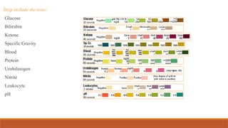 Strip include the tests:
Glucose
Bilirubin
Ketone
Specific Gravity
Blood
Protein
Urobilinogen
Nitrite
Leukocyte
pH
 