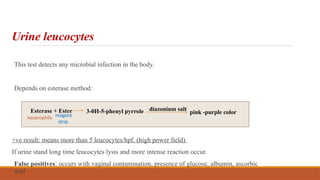 Urine leucocytes
This test detects any microbial infection in the body.
Depends on esterase method:
+ve result: means more than 5 leucocytes/hpf. (high power field)
If urine stand long time leucocytes lysis and more intense reaction occur.
False positives: occurs with vaginal contamination, presence of glucose, albumin, ascorbic
acid
Esterase + Ester 3-0H-5-phenyl pyrrole diazonium salt
pink -purple color
neutrophils reagent
strip
 