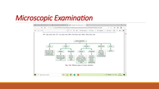 Microscopic Examination
 