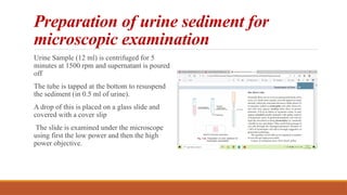 Preparation of urine sediment for
microscopic examination
Urine Sample (12 ml) is centrifuged for 5
minutes at 1500 rpm and supernatant is poured
off
The tube is tapped at the bottom to resuspend
the sediment (in 0.5 ml of urine).
A drop of this is placed on a glass slide and
covered with a cover slip
The slide is examined under the microscope
using first the low power and then the high
power objective.
 