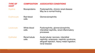 TYPE OF
CAST
COMPOSITION ASSOCIATED CONDITIONS
Hyaline Mucoproteins Pyelonephritis, chronic renal disease
May be a normal finding
Erythrocyte Red blood
cells
Glomerulonephritis
Leukocyte White blood
cells
Pyelonephritis, glomerulonephritis,
interstitial nephritis, renal inflammatory
processes
Epithelial Renal tubule
cells
Acute tubular necrosis, interstitial
nephritis, eclampsia, nephritic syndrome,
allograft rejection, heavy metal ingestion,
renal disease
 