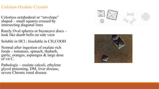 Calcium Oxalate Crystals
Colorless octahederal or “envelope”
shaped – small squares crossed by
intersecting diagonal lines
Rarely Oval spheres or biconcave discs –
look like dumb bells on side view
Soluble in HCl ; Insoluble in CH3COOH
Normal after ingestion of oxalate rich
foods – tomatoes, spinach, rhubarb,
garlic, oranges, asparagus & large dose
of vit C.
Pathologic – oxalate calculi, ethylene
glycol poisoning, DM, liver disease,
severe Chronic renal disease
 