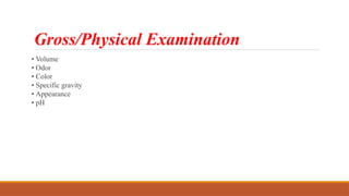 Gross/Physical Examination
• Volume
• Odor
• Color
• Specific gravity
• Appearance
• pH
 