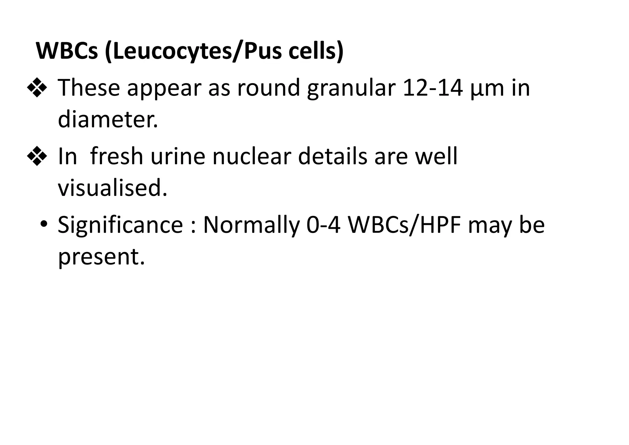 Urine Examination (Practical).pdf