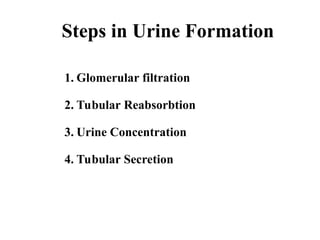 Urine formation-1.ppt it contain details description of urine formation ...