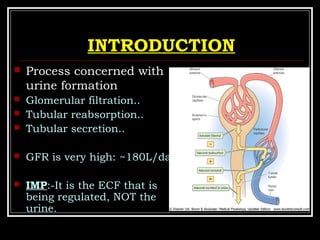 URINE FORMATION | PPT