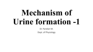 Mechanism of
Urine formation -1
Dr. Pandian M.
Dept. of Physiology
 
