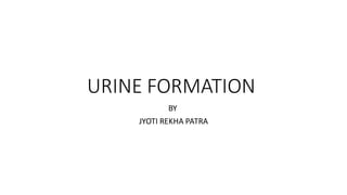 URINE FORMATION
BY
JYOTI REKHA PATRA
 