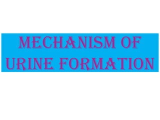 Mechanism of
urine formation
 