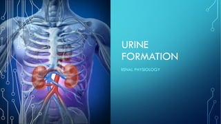 URINE
FORMATION
RENAL PHYSIOLOGY
 