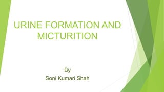 URINE FORMATION AND
MICTURITION
By
Soni Kumari Shah
 