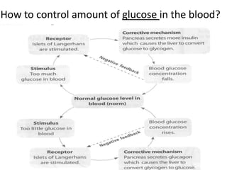 How to control amount of glucose in the blood?