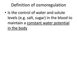 Definition of osmoregulationIs the control of water and solute levels (e.g. salt, sugar) in the blood to maintain a constant water potential in the body