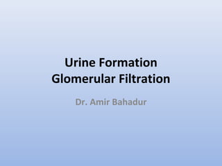 Urine Formation
Glomerular Filtration
Dr. Amir Bahadur
 