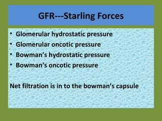 GFR---Starling Forces
• Glomerular hydrostatic pressure
• Glomerular oncotic pressure
• Bowman’s hydrostatic pressure
• Bowman’s oncotic pressure
Net filtration is in to the bowman’s capsule
 