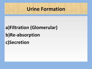 Urine Formation
a)Filtration (Glomerular)
b)Re-absorption
c)Secretion
 