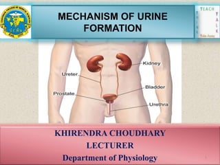 MECHANISM OF URINE
FORMATION
KHIRENDRA CHOUDHARY
LECTURER
Department of Physiology 1
 