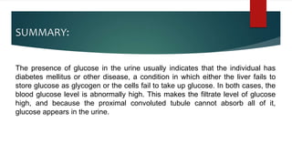 SUMMARY:
The presence of glucose in the urine usually indicates that the individual has
diabetes mellitus or other disease, a condition in which either the liver fails to
store glucose as glycogen or the cells fail to take up glucose. In both cases, the
blood glucose level is abnormally high. This makes the filtrate level of glucose
high, and because the proximal convoluted tubule cannot absorb all of it,
glucose appears in the urine.
 