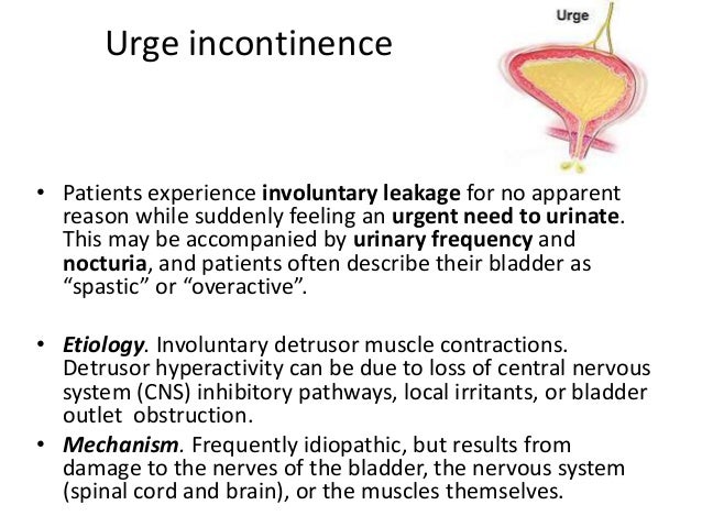 overflow incontinence treatment guidelines
