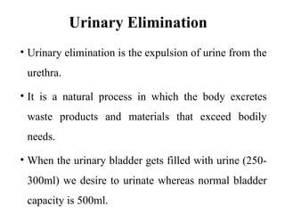 Comprehensive Nursing Guide on Urinary Elimination and Incontinence ...